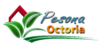 Logo Pesona Octoria