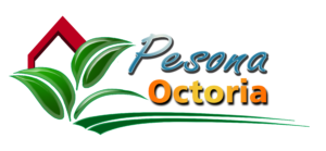 Logo Pesona Octoria